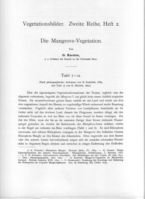 Vegetationsbilder - Die Mangrove-Vegetation - aus dem Buch